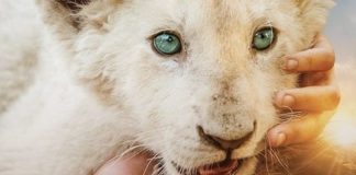 Cinema in giardino a Riccione