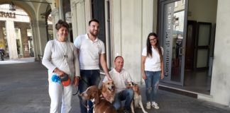 Domenica 15 settembre ritorna “4 zampe in azione”