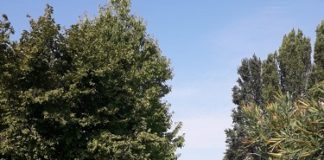 Ciclabile di Baggiovara: ristrutturazione del ponte ciclopedonale