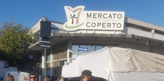 Rimini: Bruce, Jago, Pablo e Thor di nuovo in azione