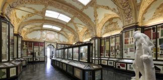 Weekend ai Musei di Modena, visite guidate gratuite a “Fiori vintage”