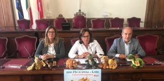 “Dino&Company”, nuova iniziativa solidale di Conad a favore della Casa di Iris