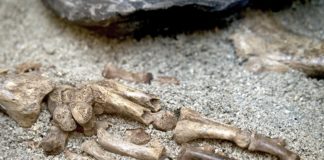 “Metti l’autunno”: li chiamavano “Gli amanti di Modena”