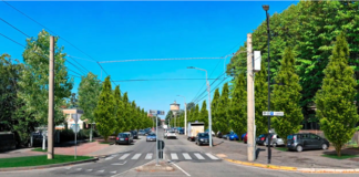 Parma: le nuove piante di viale Villetta, il video che ne ripercorre la storia