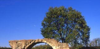 Museo della Città: ,,”Alla riscoperta dei ponti di San Vito e la questione del Rubicone antico”.