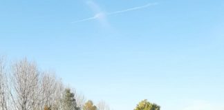 Provincia di Modena: tra Carpi e Novi i lavori per nuovi guardrail