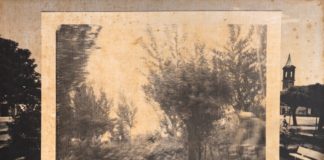 Modena: dalla collezione ai Musei, 50 anni d’arte contemporanea