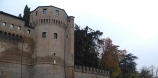 “Mirabilia, la botanica nascosta nell’arte” domani a Cesena (FOTO)
