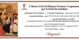 Una visita al Museo, idee per le festività natalizie