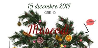 MuseoDì – le domeniche al Museo della Regina di Cattolica il 15 dicembre