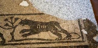 Archeologia visibile e invisibile (FOTO)