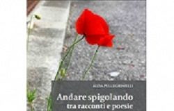 Riflessioni sui rapporti umani tra racconti e poesie di Alda Pellegrinelli