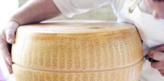 FICO Eataly World tappa di Arte Fiera nel week end per scoprire i capolavori del gusto