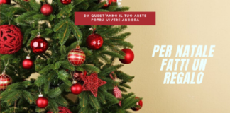 A Cesena l’Oasi di Babbo Natale dove poter ripiantare gli Abeti di Natale