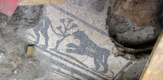 Nuovo Coronavirus, su CesenaWebTv arrivano i video tour della città (FOTO)