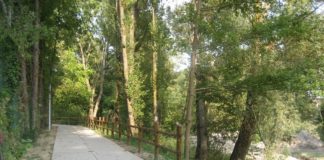 Provincia di Modena: al via le manutenzioni dei Percorsi natura del Panaro, Secchia e Tiepido