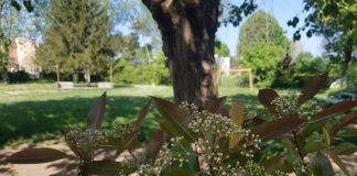 Bologna, da ieri al parco del Circolo La Fattoria porte aperte a persone autistiche