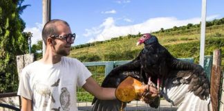 Il 27 maggio nuovo video-appuntamento al Museo dell’Ecologia con lo youtuber Willy Guasti (FOTO)