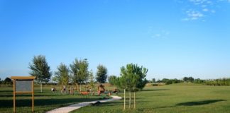 Presentate oltre 70 proposte per “Green City Cesena – allariaperta” (FOTO)