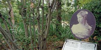 Parco di Villa Silvia-Carducci rinnovato con 28 nuovi alberi (FOTO)
