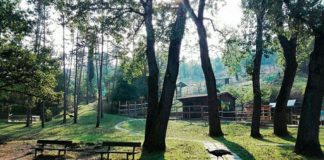 Vezzano, riapre oggi l’ecoparco Pineta