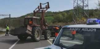 Parma. Recupero carcasse di animali: assegnato il servizio