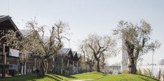 Stai sicuro: FICO riapre il 2 giugno