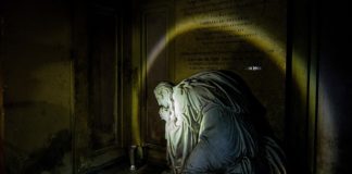 Al via domani il Calendario estivo Certosa di Bologna 2020