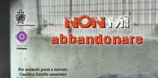 “Non mi abbandonare, mi fido di te…”: campagna 2020 contro l’abbandono degli animali