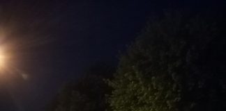 Estate a Cesena, da Dante a Machiavelli, una passeggiata per la Cesena letteraria (FOTO)
