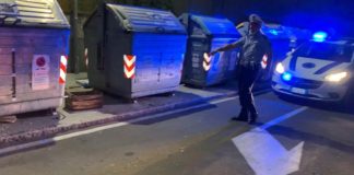 Animali abbandonati e salvati da Polizia locale e pettirosso