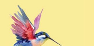 La goccia del colibrì. Fare la propria parte durante e dopo la pandemia, domani la presentazione