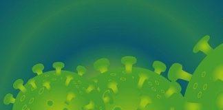 Università di Parma: dal 7 settembre test sierologici gratuiti per studenti e personale