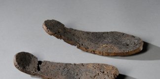 Nuovi orari ai Musei Civici. Il venerdì aprono al pomeriggio