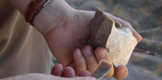 La selce nella preistoria alla Terramara di Montale