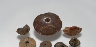 Alla Terramara di Montale l’antica magia dell’ambra