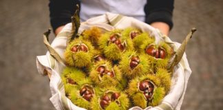 Voglia di autunno in… Alta Valtaro