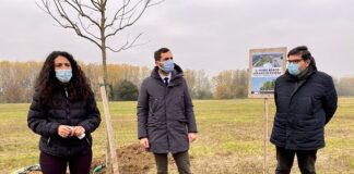 Il bosco urbano di Cesena ha il suo primo albero (FOTO)