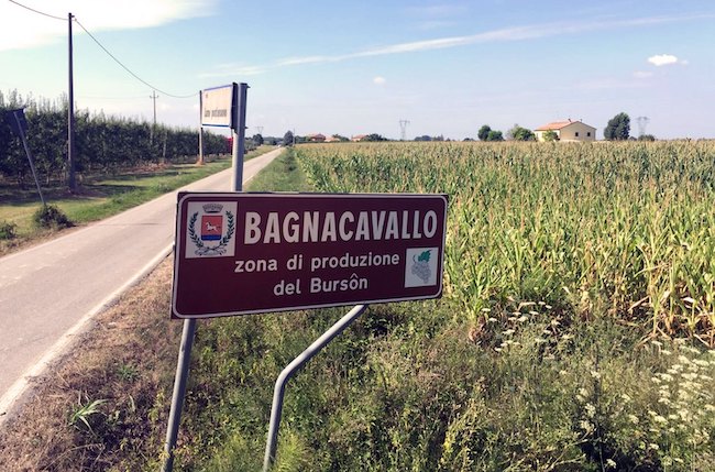 bagnocavallo
