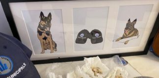 Sostanze stupefacenti rinvenute in zona Gad grazie al supporto dell’unità cinofila della polizia locale