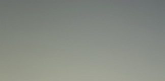 Mente Locale – Visioni sul territorio 2020: programma di giovedì 12 novembre