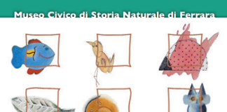 L’offerta didattica 2020-2021 del Museo di Storia Naturale di Ferrara a cura dell’Associazione Didò