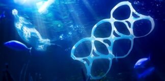 Cattolica, rifiuti in mare: al via progetto di raccolta, caratterizzazione e smaltimento