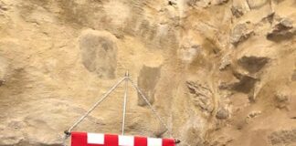 San Clemente: Nasce l’Olio “Clemente”, un’eccellenza tutta bio