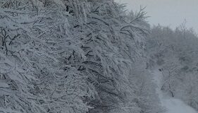 Reggio Emilia: neve, aggiornamento sulla viabilità provinciale
