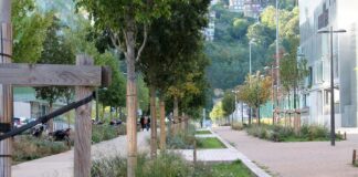 Spazi pubblici e adattamento ai cambiamenti climatici: il 28 gennaio terzo laboratorio online del PUG Cesena-Montiano (FOTO)