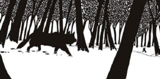 Camelozampa: le novità di gennaio