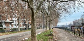 Nuove panchine sul Pubblico Passeggio, in via Palmerio e via Beverora