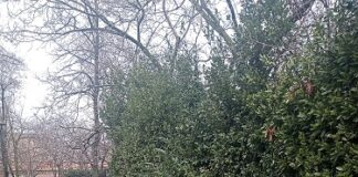 Giardino Ducale di Modena, vandalizzata la teca dei libri