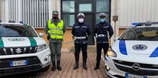 Provincia di Modena: cacciatore spara dall’auto ed uccide un capriolo